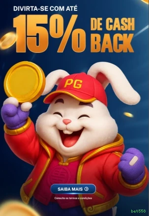 Login seguro na bet558